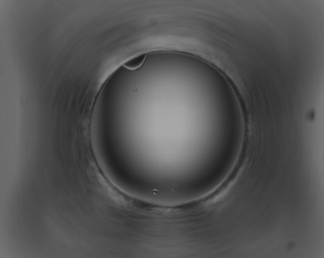 X0000093571529200710221433
