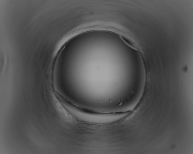 X0000093571530200710221433