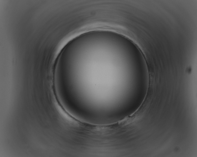 X0000093571531200710221433