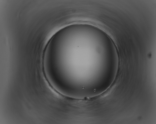 X0000093571533200710221433