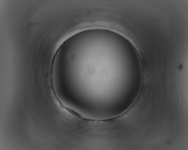 X0000093571534200710221433