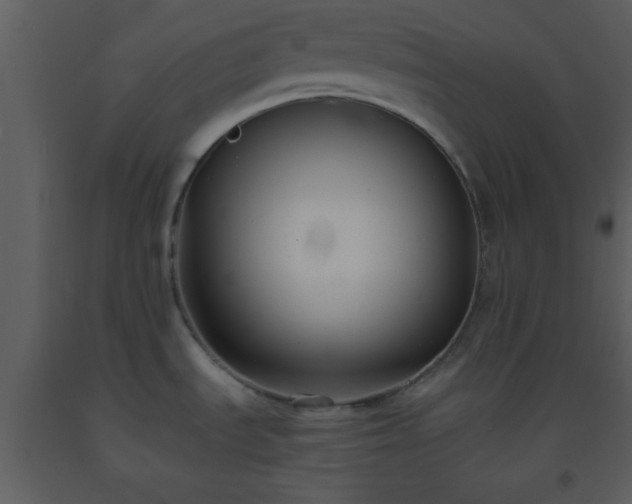 X0000093571535200710221433