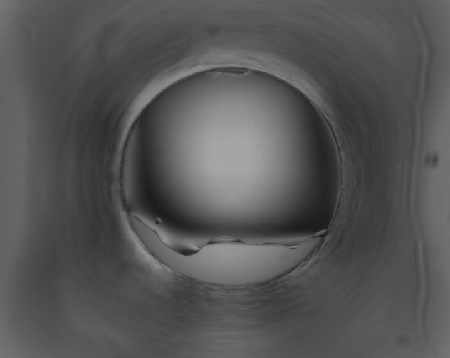 X0000093571536200710221433