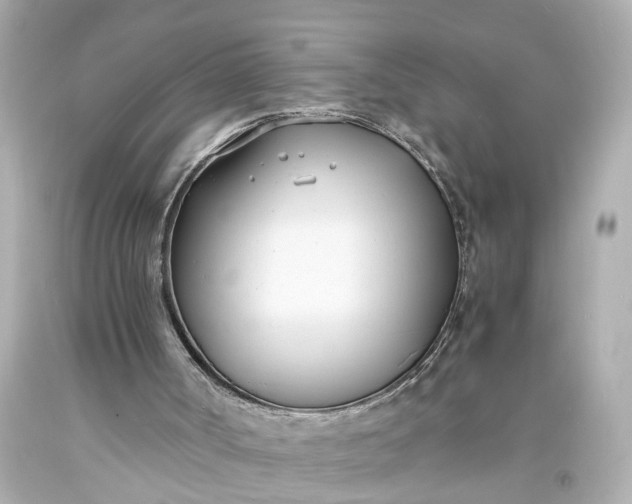 X0000093570002200710291050