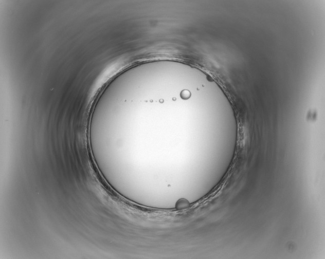 X0000093570004200710291050