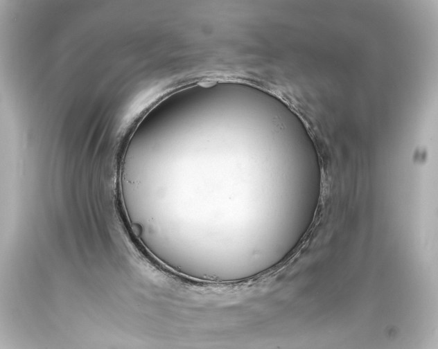 X0000093570005200710291050
