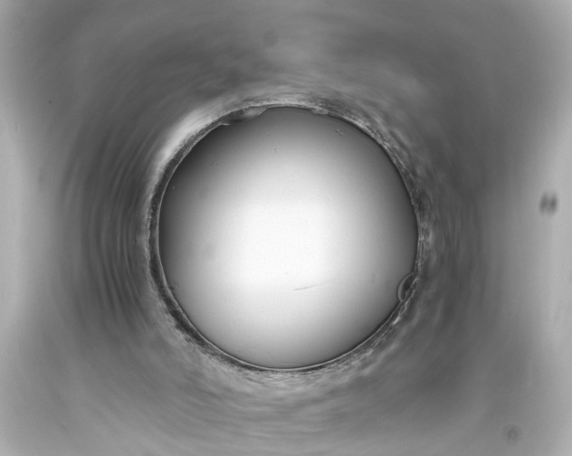 X0000093570006200710291050