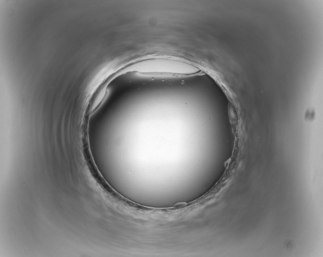 X0000093570007200710291050