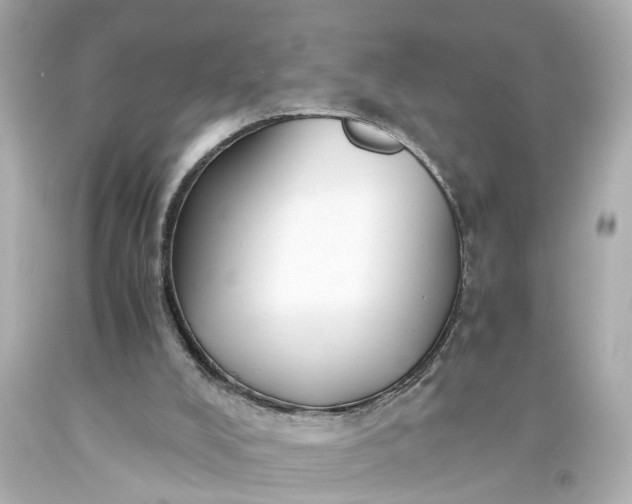 X0000093570008200710291050