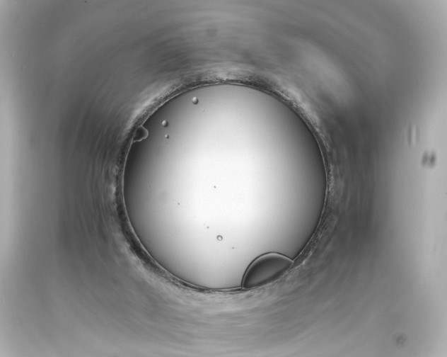 X0000093570010200710291050