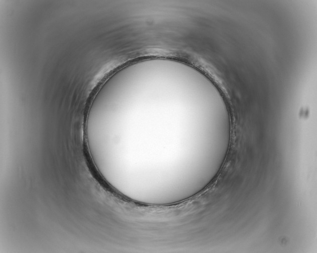 X0000093570011200710291050