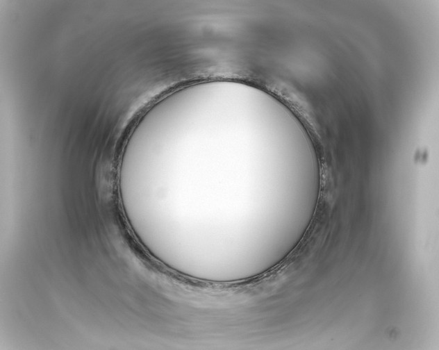 X0000093570012200710291050