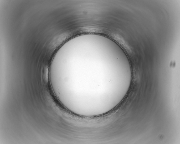 X0000093570014200710291050