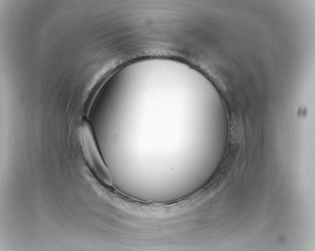 X0000093570015200710291050