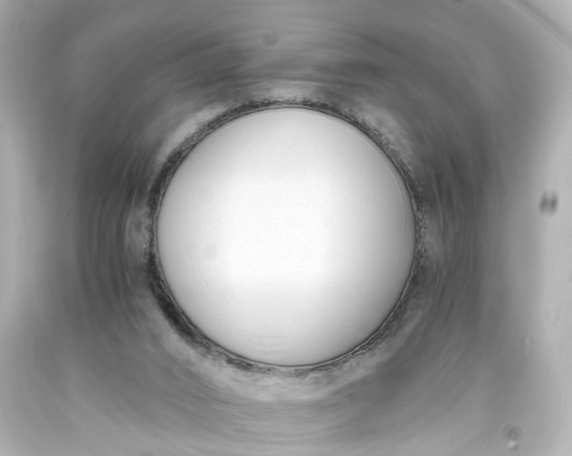 X0000093570016200710291050