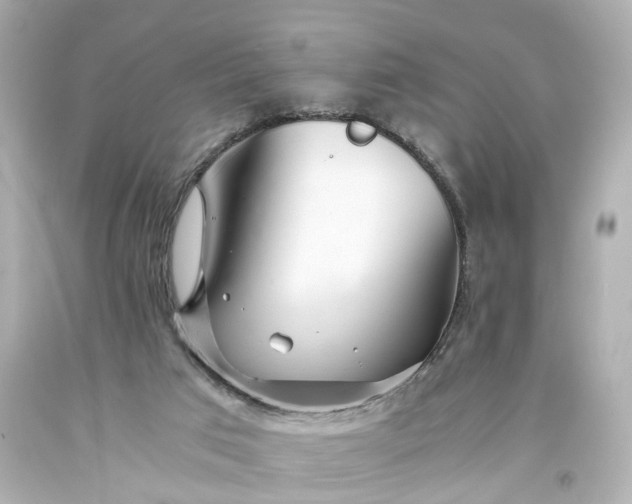 X0000093570017200710291050