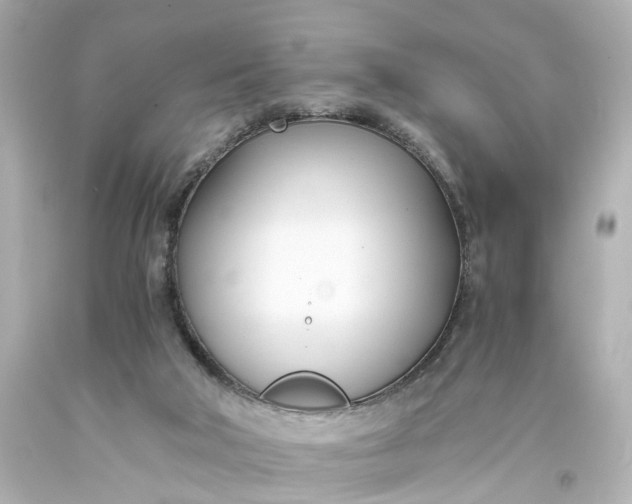 X0000093570018200710291050