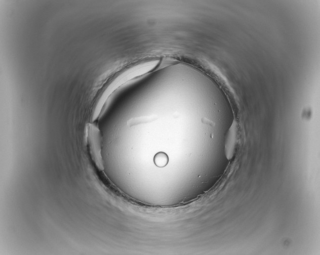 X0000093570019200710291050