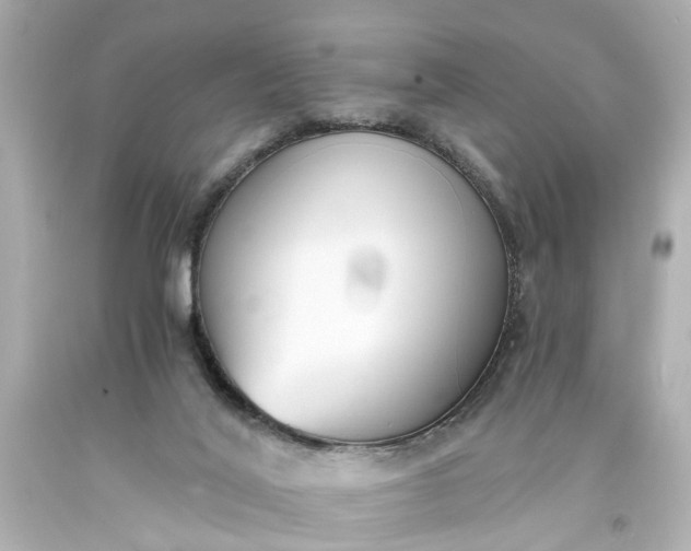 X0000093570020200710291050