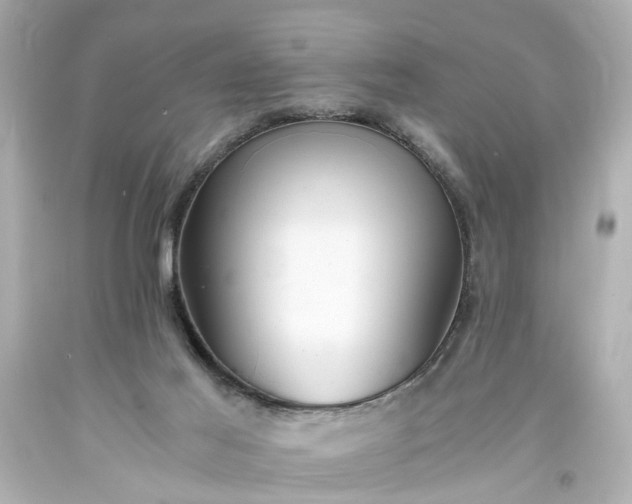 X0000093570021200710291050