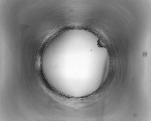 X0000093570024200710291050