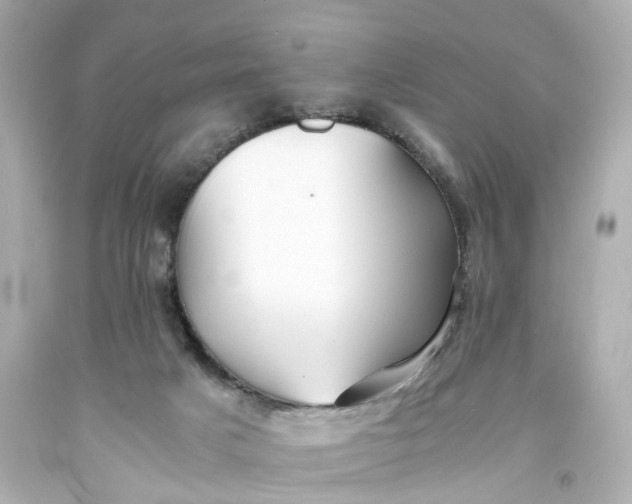 X0000093570025200710291050