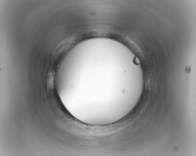 X0000093570026200710291050