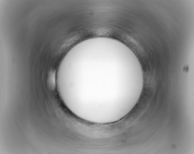 X0000093570028200710291050