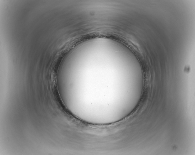 X0000093570029200710291050
