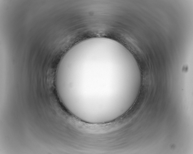 X0000093570030200710291050