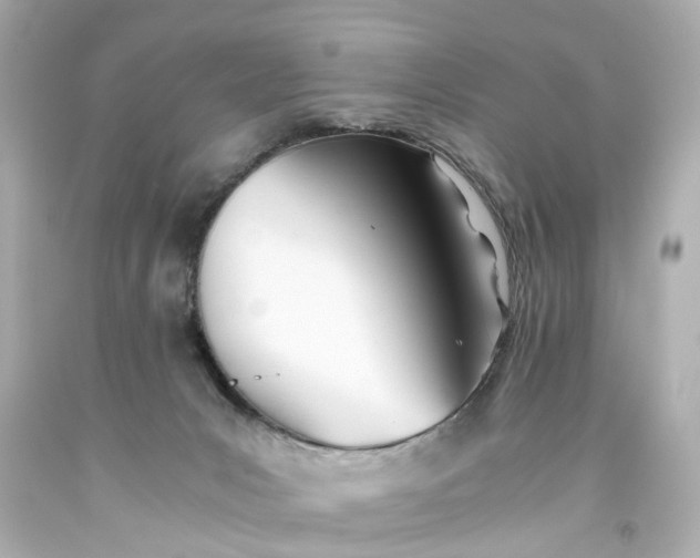 X0000093570031200710291050
