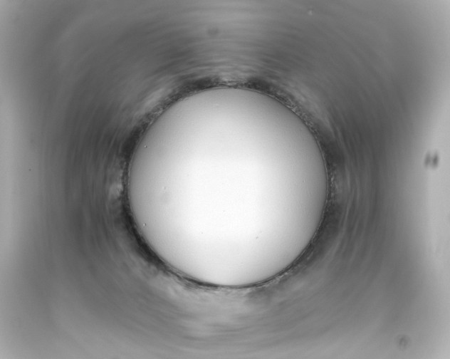 X0000093570032200710291050