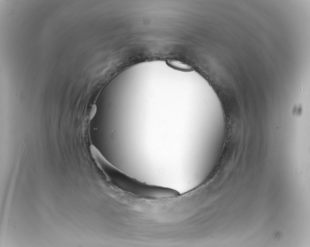 X0000093570033200710291050