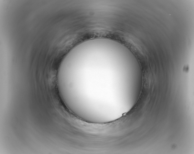 X0000093570034200710291050