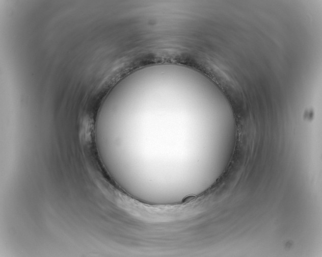 X0000093570038200710291050
