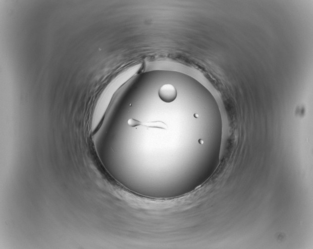 X0000093570039200710291050