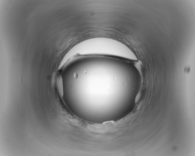 X0000093570041200710291050
