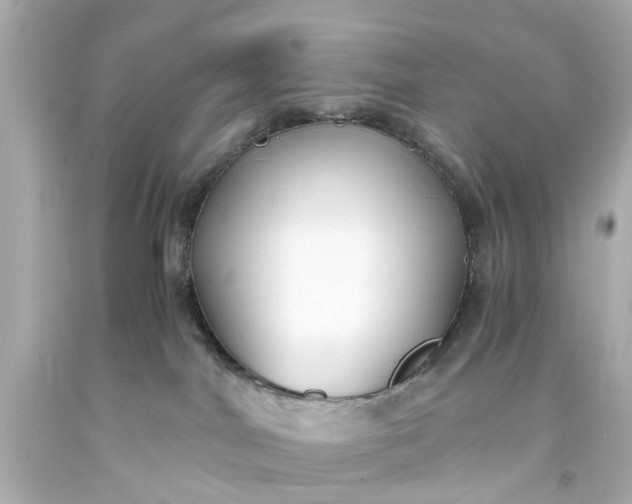X0000093570044200710291049