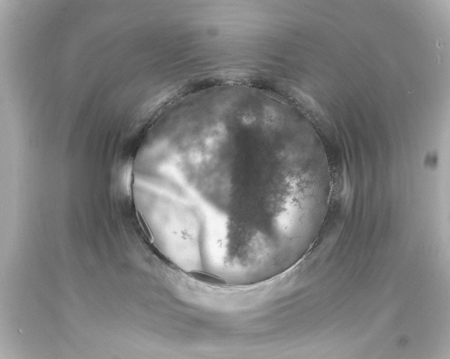 X0000093570047200710291049