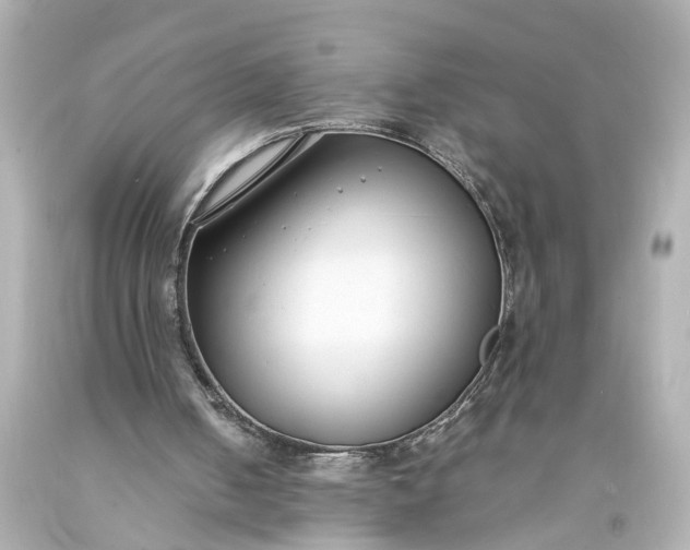 X0000093570050200710291049