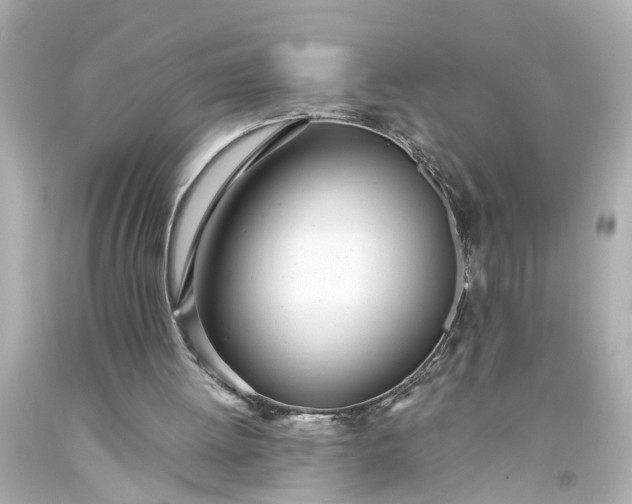 X0000093570052200710291049