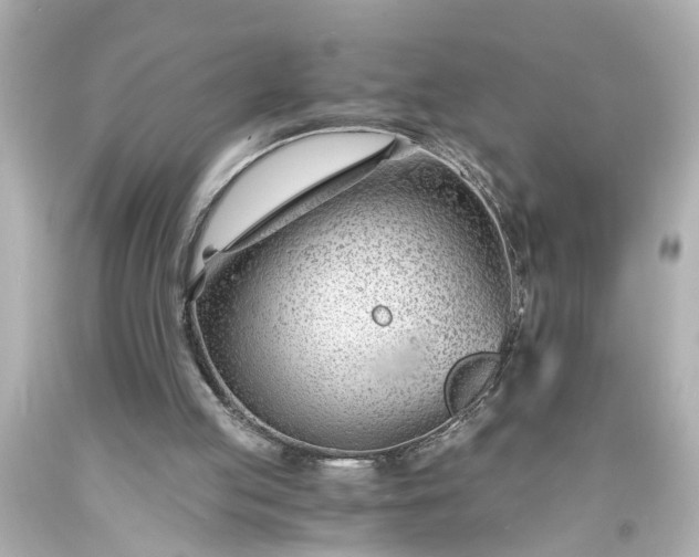 X0000093570053200710291049