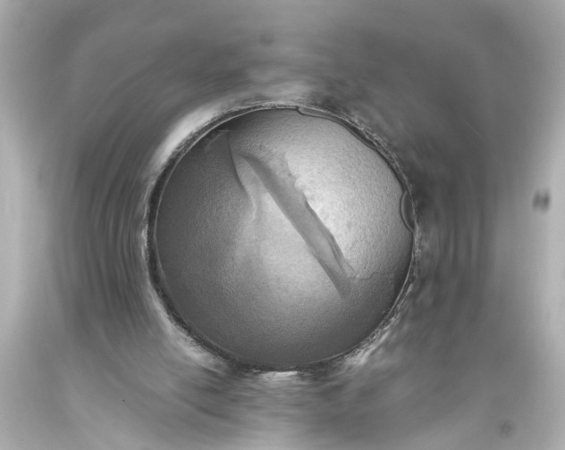 X0000093570054200710291049