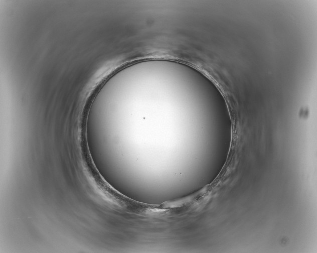 X0000093570055200710291049