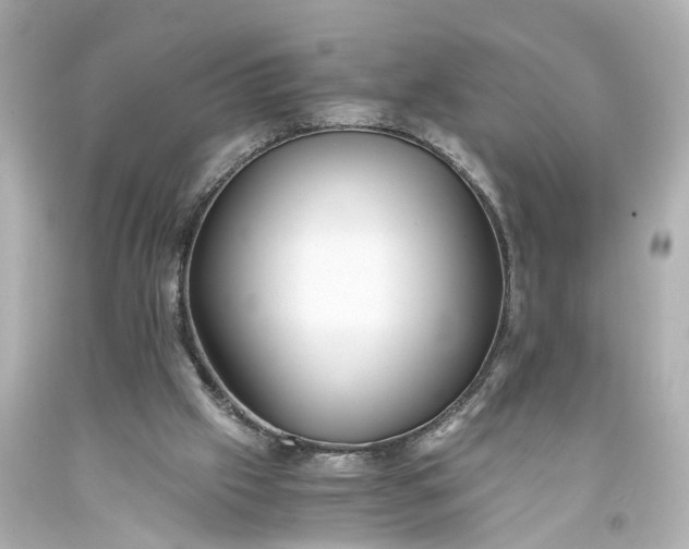 X0000093570057200710291049