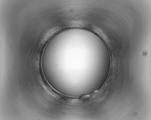 X0000093570058200710291049