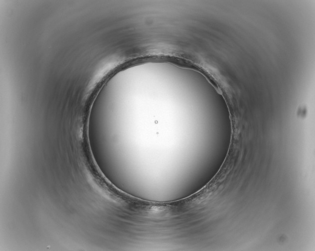 X0000093570060200710291049