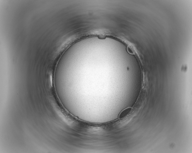X0000093570061200710291049