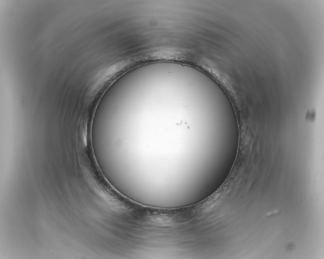 X0000093570062200710291049