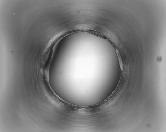 X0000093570064200710291049